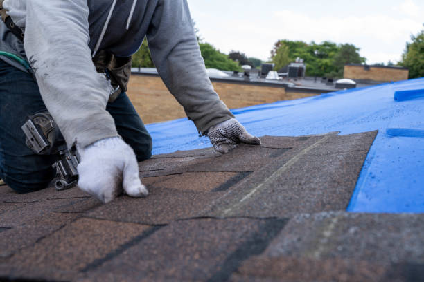 Best Roof Gutter Cleaning  in Glenns Ferry, ID